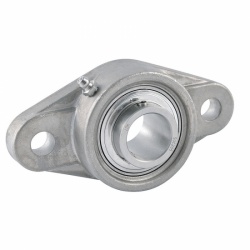 Stainless Steel 2 Bolt Flanged